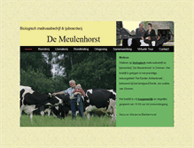 Tablet Screenshot of meulenhorst.nl